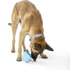 West Paw Toppl Dog Toy, X-Large, 4.75-in -Blue Buffalos Shop 848006 PT5. AC SS1800 V1683905445
