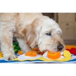 Injoya Breakfast Cat & Dog Snuffle Mat, Blue, Large -Blue Buffalos Shop 848038 PT2. AC SS1800 V1683732043