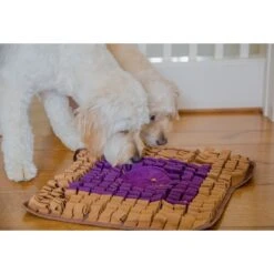 Injoya PB & J Cat & Dog Snuffle Mat, Brown, Medium -Blue Buffalos Shop 848102 PT2. AC SS1800 V1684421062