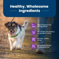 Blue Buffalo Life Protection Formula Toy Breed Adult Chicken & Brown Rice Recipe Dry Dog Food -Blue Buffalos Shop 84980 PT5. AC SS1800 V1701982276