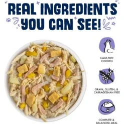 Weruva Bed & Breakfast With Chicken, Egg, Pumpkin & Ham In Gravy Grain-Free Canned Dog Food -Blue Buffalos Shop 85386 PT2. AC SS1800 V1696008975