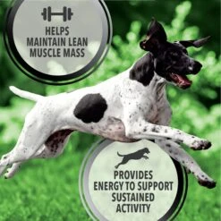 Iams Proactive Health Active Chicken & Turkey Recipe High Protein Adult Dry Dog Food & Pedigree Choice Cuts In Gravy Variety Pack Adult Wet Dog Food, 3.5-oz Pouch, Case Of 30 -Blue Buffalos Shop 854502 PT7. AC SS1800 V1683810469