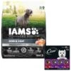 Iams Advanced Health Skin & Coat Chicken & Salmon Recipe Adult Dry Dog Food & Cesar Classic Loaf In Sauce Beef Recipe, Filet Mignon, Grilled Chicken & Porterhouse Steak Flavors Variety Pack Grain-Free Small Breed Adult Wet Dog Food Trays