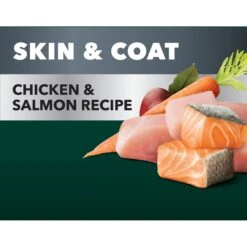 Iams Advanced Health Skin & Coat Chicken & Salmon Recipe Adult Dry Dog Food & Cesar Classic Loaf In Sauce Beef Recipe, Filet Mignon, Grilled Chicken & Porterhouse Steak Flavors Variety Pack Grain-Free Small Breed Adult Wet Dog Food Trays -Blue Buffalos Shop 854526 PT3. AC SS1800 V1683811279
