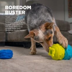 Outward Hound Treat Locking Discs Dispenser Puzzle Dog Toy, Multiple Colors -Blue Buffalos Shop 855558 PT2. AC SS1800 V1686333064