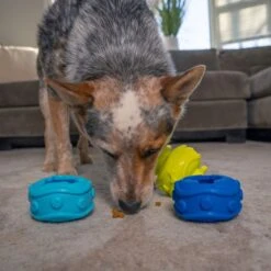Outward Hound Treat Locking Discs Dispenser Puzzle Dog Toy, Multiple Colors -Blue Buffalos Shop 855558 PT5. AC SS1800 V1686333061