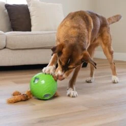 Nina Ottosson By Outward Hound Snuffle N' Treat Interactive Puzzle Ball & Treat Dispenser Dog Toy, Green -Blue Buffalos Shop 855590 PT4. AC SS1800 V1694286045