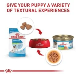 Royal Canin Size Health Nutrition X-Small Puppy Dry Dog Food -Blue Buffalos Shop 855830 PT5. AC SS1800 V1683896949