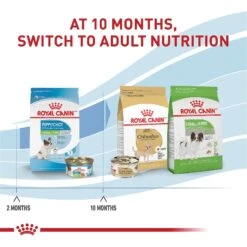 Royal Canin Size Health Nutrition X-Small Puppy Dry Dog Food -Blue Buffalos Shop 855830 PT6. AC SS1800 V1683897537