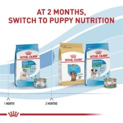 Royal Canin Size Health Nutrition Small Starter Mother & Babydog Dry Dog Food -Blue Buffalos Shop 855846 PT6. AC SS1800 V1697216693