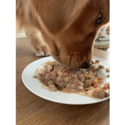 Caru Real Beef Stew Grain-Free Wet Dog Food 15 Caru Real Beef Stew Grain-Free Wet Dog Food -Blue Buffalos Shop 85696 PT3. AC SS1800 V1701366052