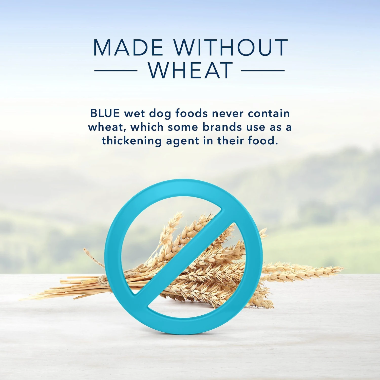 Blue Buffalo Homestyle Recipe Small Breed Chicken Dinner Canned Dog Food 8 Blue Buffalo Homestyle Recipe Small Breed Chicken Dinner Canned Dog Food - Image 6