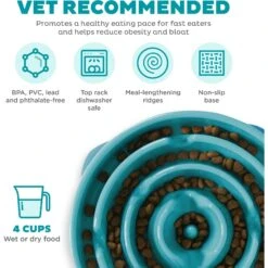 Outward Hound Non-Skid Plastic Slow Feeder Interactive Dog Bowl -Blue Buffalos Shop 85930 PT2. AC SS1800 V1694286712