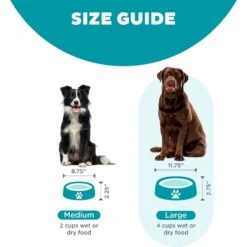 Outward Hound Non-Skid Plastic Slow Feeder Interactive Dog Bowl -Blue Buffalos Shop 85930 PT4. AC SS1800 V1694439685