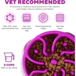 Outward Hound Fun Feeder Interactive Dog Bowl, Purple -Blue Buffalos Shop 85933 PT2. AC SS1800 V1694286650