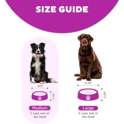 Outward Hound Fun Feeder Interactive Dog Bowl, Purple -Blue Buffalos Shop 85933 PT4. AC SS1800 V1694286100