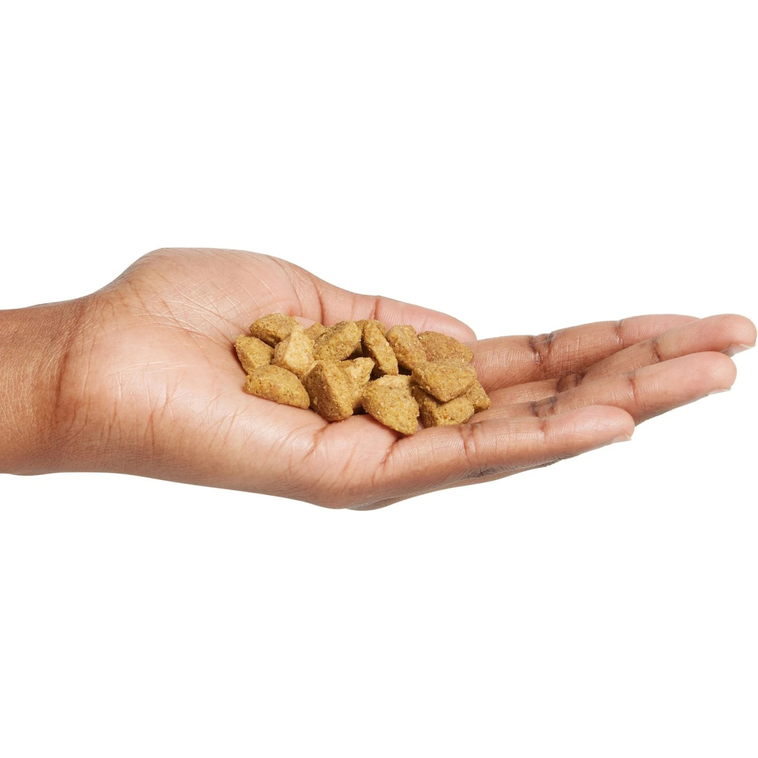 Purina Pro Plan Adult Shredded Blend Salmon & Rice Formula Dry Dog Food 5 Purina Pro Plan Adult Shredded Blend Salmon & Rice Formula Dry Dog Food - Image 3