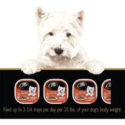 Cesar Classic Loaf In Sauce Oven Roasted Chicken Flavor Dog Food Trays 19 Cesar Classic Loaf In Sauce Oven Roasted Chicken Flavor Dog Food Trays -Blue Buffalos Shop 86446 PT8. AC SS1800 V1621518486