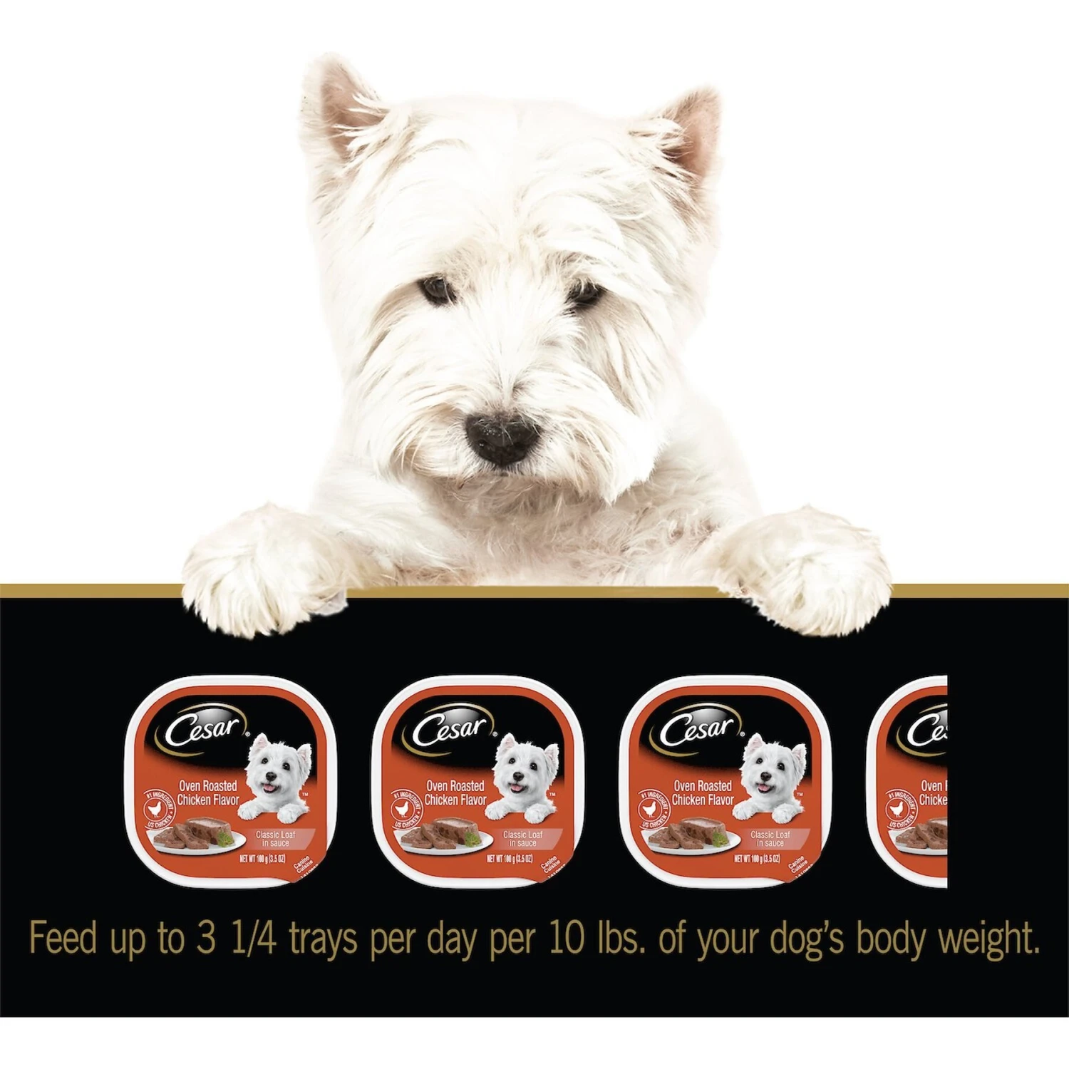 Cesar Classic Loaf In Sauce Oven Roasted Chicken Flavor Dog Food Trays 11 Cesar Classic Loaf In Sauce Oven Roasted Chicken Flavor Dog Food Trays - Image 9