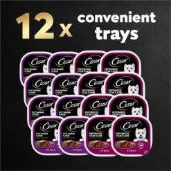 Cesar Classic Loaf In Sauce Filet Mignon & Porterhouse Steak Flavors Variety Pack Grain-Free Small Breed Adult Wet Dog Food Trays 19 Cesar Classic Loaf In Sauce Filet Mignon & Porterhouse Steak Flavors Variety Pack Grain-Free Small Breed Adult Wet Dog Food Trays -Blue Buffalos Shop 86450 PT8. AC SS1800 V1695746025