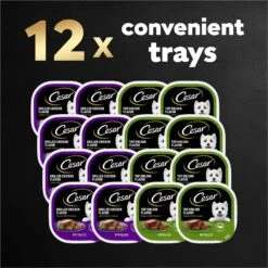 Cesar Classic Loaf In Sauce Top Sirloin & Grilled Chicken Flavors Variety Pack Grain-Free Small Breed Adult Wet Dog Food Trays -Blue Buffalos Shop 86452 PT8. AC SS1800 V1695676401