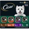 Cesar Poultry Variety Pack With Real Chicken, Turkey & Duck Grain-Free Small Breed Adult Wet Dog Food Trays -Blue Buffalos Shop 86458 MAIN. AC SS1800 V1695650084