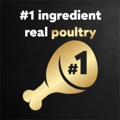 Cesar Poultry Variety Pack With Real Chicken, Turkey & Duck Grain-Free Small Breed Adult Wet Dog Food Trays -Blue Buffalos Shop 86458 PT3. AC SS1800 V1695662246