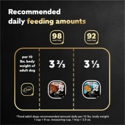 Cesar Home Delights Slow Cooked Chicken & Vegetables & Beef Stew Variety Pack Small Breed Adult Wet Dog Food Trays -Blue Buffalos Shop 86476 PT6. AC SS1800 V1695750197