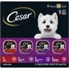 Cesar Classic Loaf In Sauce Beef Recipe, Filet Mignon, Grilled Chicken & Porterhouse Steak Flavors Variety Pack Grain-Free Small Breed Adult Wet Dog Food Trays -Blue Buffalos Shop 86492 MAIN. AC SS1800 V1695648815