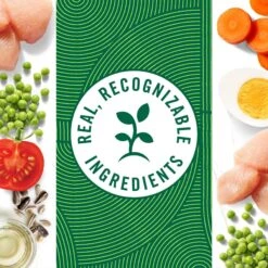 Nutro Hearty Stew Tender Chicken, Carrot & Pea Stew Grain-Free Canned Adult Wet Dog Food -Blue Buffalos Shop 86742 PT4. AC SS1800 V1691418396