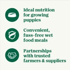 Nutro Puppy Tender Grain-Free Chicken, Sweet Potato & Pea Recipe Bites In Gravy Wet Dog Food Trays 14 Nutro Puppy Tender Grain-Free Chicken, Sweet Potato & Pea Recipe Bites In Gravy Wet Dog Food Trays -Blue Buffalos Shop 86748 PT3. AC SS1800 V1691423585