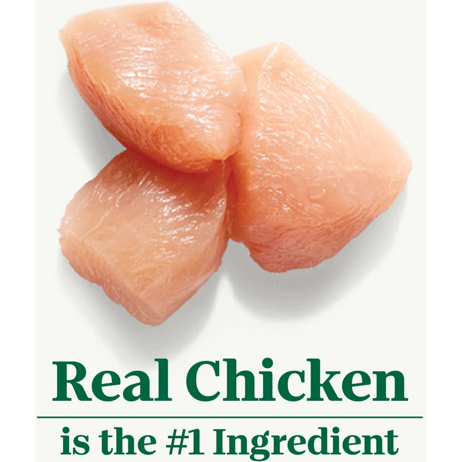 Nutro Natural Choice Senior Chicken & Brown Rice Recipe Dry Dog Food 5 Nutro Natural Choice Senior Chicken & Brown Rice Recipe Dry Dog Food - Image 3