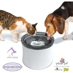 Pioneer Pet Vortex Drinking Dog & Cat Fountain, Gray, Medium 11 Pioneer Pet Vortex Drinking Dog & Cat Fountain, Gray, Medium -Blue Buffalos Shop 873102 PT3. AC SS1800 V1686328488