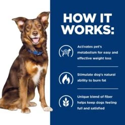 Hill's Prescription Diet Metabolic Weight Management Vegetable & Beef Stew Canned Dog Food -Blue Buffalos Shop 87468 PT6. AC SS1800 V1521064463