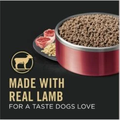 Purina Pro Plan Adult Sensitive Skin & Stomach Lamb & Oat Meal Entree Wet Dog Food, 13-oz Can, Case Of 12 13 Purina Pro Plan Adult Sensitive Skin & Stomach Lamb & Oat Meal Entree Wet Dog Food, 13-oz Can, Case Of 12 -Blue Buffalos Shop 877710 PT2. AC SS1800 V1686070760