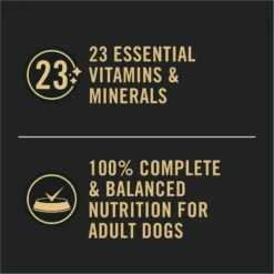 Purina Pro Plan Adult Sensitive Skin & Stomach Lamb & Oat Meal Entree Wet Dog Food, 13-oz Can, Case Of 12 18 Purina Pro Plan Adult Sensitive Skin & Stomach Lamb & Oat Meal Entree Wet Dog Food, 13-oz Can, Case Of 12 -Blue Buffalos Shop 877710 PT7. AC SS1800 V1686070816