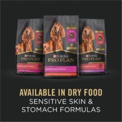 Purina Pro Plan Adult Sensitive Skin & Stomach Turkey & Oat Meal Entree​ Wet Dog Food, 13-oz Can, Case Of 12 -Blue Buffalos Shop 877726 PT6. AC SS1800 V1686070756