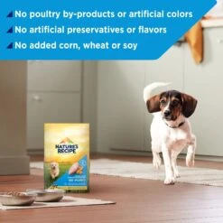 Nature's Recipe Grain-Free Puppy Chicken, Sweet Potato, & Pumpkin Recipe Dry Dog Food -Blue Buffalos Shop 87777 PT3. AC SS1800 V1701983006