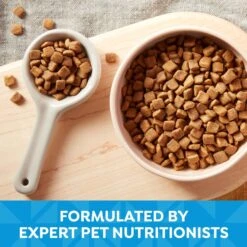 Nature's Recipe Grain-Free Puppy Chicken, Sweet Potato, & Pumpkin Recipe Dry Dog Food -Blue Buffalos Shop 87777 PT4. AC SS1800 V1701983002