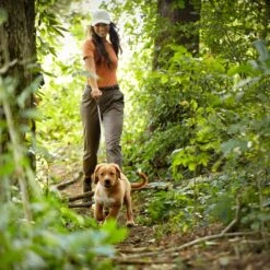 Nature's Recipe Grain-Free Puppy Chicken, Sweet Potato, & Pumpkin Recipe Dry Dog Food -Blue Buffalos Shop 87777 PT5. AC SS1800 V1701982998