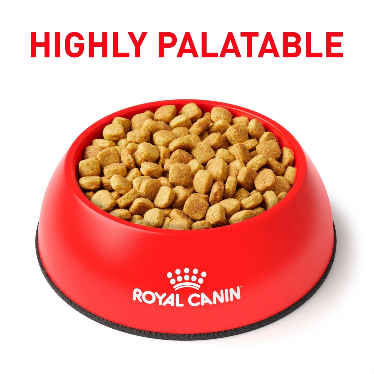 Royal Canin Veterinary Diet Adult Ultamino Dry Dog Food 5 Royal Canin Veterinary Diet Adult Ultamino Dry Dog Food - Image 3