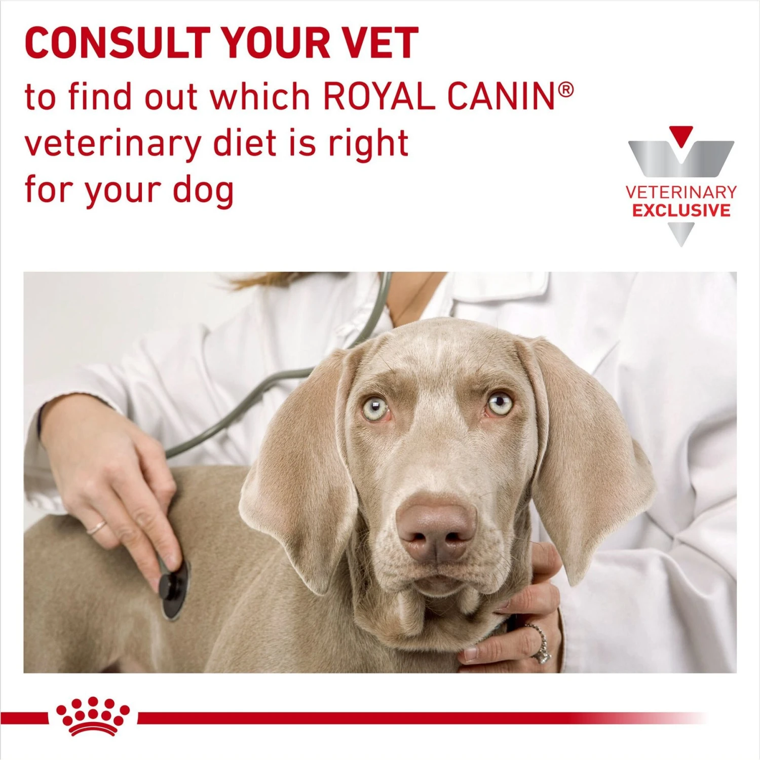 Royal Canin Veterinary Diet Adult Ultamino Dry Dog Food 11 Royal Canin Veterinary Diet Adult Ultamino Dry Dog Food - Image 9