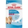 Royal Canin Size Health Nutrition Small Indoor Puppy Dry Dog Food -Blue Buffalos Shop 88062 MAIN. AC SS1800 V1697139170