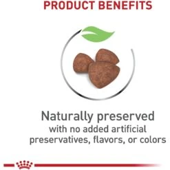 Royal Canin Size Health Nutrition Small Indoor Puppy Dry Dog Food 14 Royal Canin Size Health Nutrition Small Indoor Puppy Dry Dog Food -Blue Buffalos Shop 88062 PT3. AC SS1800 V1697213833