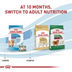 Royal Canin Size Health Nutrition Small Indoor Puppy Dry Dog Food 17 Royal Canin Size Health Nutrition Small Indoor Puppy Dry Dog Food -Blue Buffalos Shop 88062 PT6. AC SS1800 V1697212368