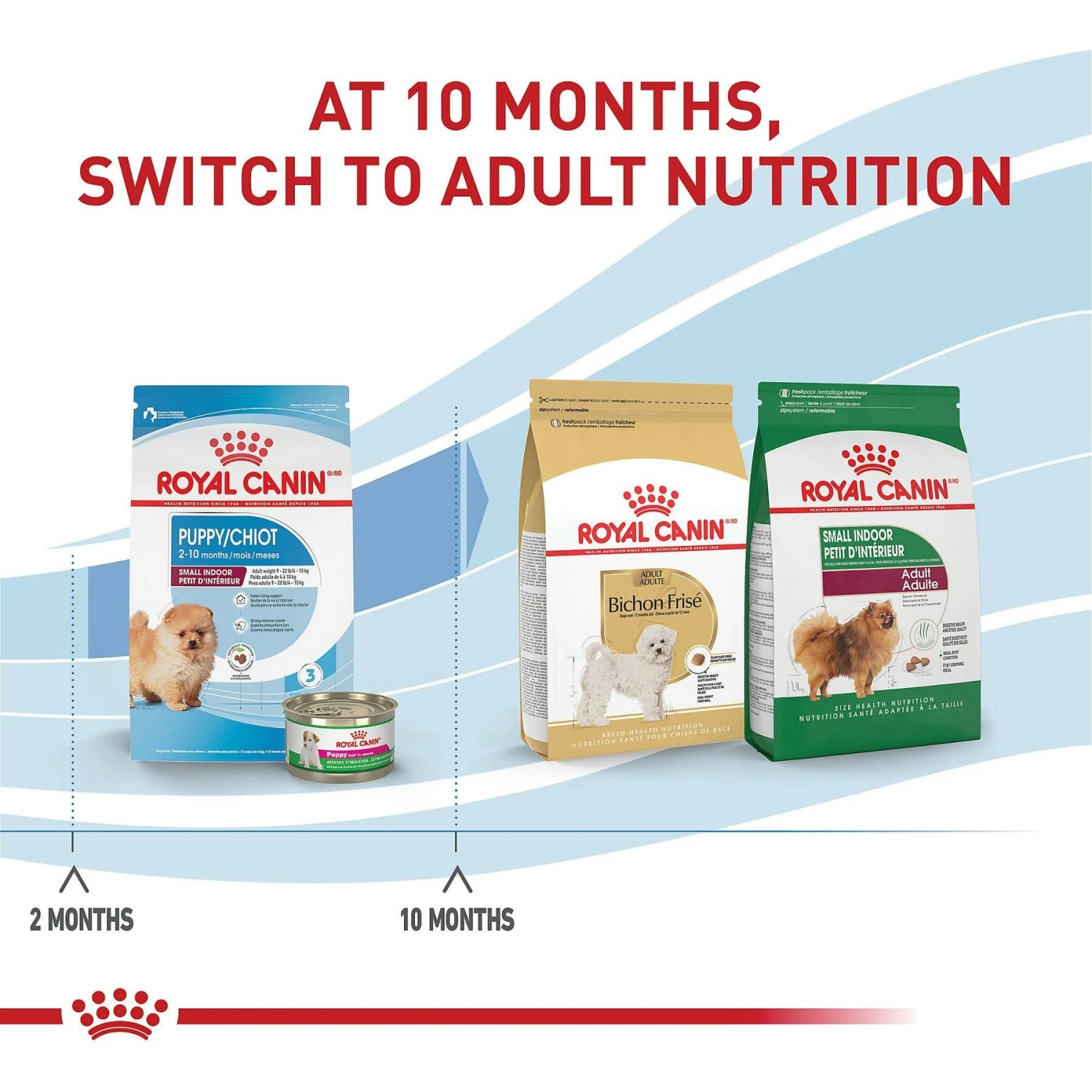 Royal Canin Size Health Nutrition Small Indoor Puppy Dry Dog Food 9 Royal Canin Size Health Nutrition Small Indoor Puppy Dry Dog Food - Image 7