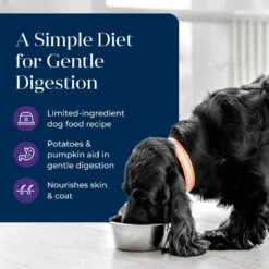 Blue Buffalo Basics Skin & Stomach Care Grain-Free Turkey & Potato Senior Canned Dog Food -Blue Buffalos Shop 88193 PT2. AC SS1800 V1646251343