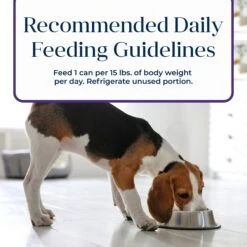 Blue Buffalo Basics Skin & Stomach Care Grain-Free Turkey & Potato Senior Canned Dog Food -Blue Buffalos Shop 88193 PT8. AC SS1800 V1646274999
