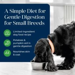 Blue Buffalo Basics Skin & Stomach Care Grain-Free Lamb & Potato Small Breed Adult Wet Dog Food -Blue Buffalos Shop 88195 PT2. AC SS1800 V1646249785