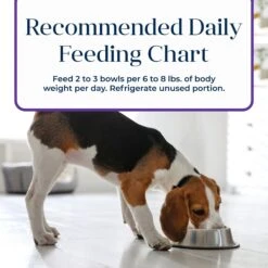 Blue Buffalo Basics Skin & Stomach Care Grain-Free Turkey & Potato Small Breed Adult Wet Dog Food -Blue Buffalos Shop 88199 PT8. AC SS1800 V1646256096